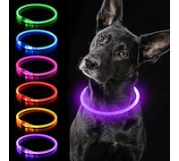 iTayga Collar Luminoso LED Perro Recarable Collares Luminosos para Perros 5 Colores Haga Que su Perro Sea Muy Visible en la Oscuridad, Collar con Luz Perro Pequeño,Mediano,Grande. Morado