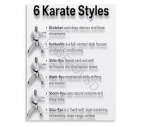 ITCLEYMDZV 6 Karate Styles Training Chart Martial Arts Educational Poster Wall-Art Canvas for Dojo Home Gym Decor(Unframed,12x18inch(30x45cm))