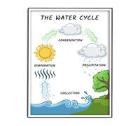 ITCUUIEC Water Cycle Bulletin Board Set Science Classroom Decorations for Middle School High School Earth Science(Framed,16x24inch(40x60cm))