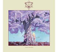 Iterum nata - Bardo disorder [Vinilo]