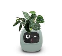 Itigoitie Maceta Inteligente para Mascotas - Múltiples Expresiones, 7 Sensores y Chips AI - Cultivo Fácil de Plantas