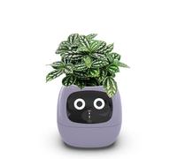 Itigoitie Macetas inteligentes, maceta inteligente para mascotas, maceta AI, macetas inteligentes, múltiples expresiones, 7 sensores inteligentes y chips Ai hacen que cultivar plantas sea fácil y