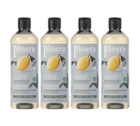 ITINERA Daily Sebum Control Champú para cabello graso, con amalfi coast lemon 370 ml 4 unidades