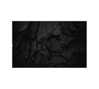 ITRHJTGP Fondo De Acuario Póster de Fondo de Acuario de Piedra Negra con Efecto 3D, Autoadhesivo, for pecera(50x80cm)