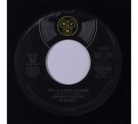 it's a damn shame 45 rpm single