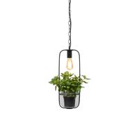 It's about Romi Lámpara colgante negra Florence con soporte para plantas
