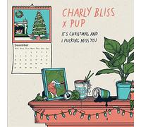It's Christmas And I Fucking Miss You [Vinilo]