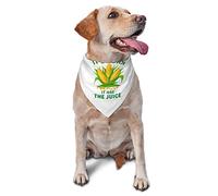 Its Corn It Has The Juice Spring Dog Bandanas Boy Bulk Puppy Pañuelo Ajustable Triángulo Suave Baberos Accesorios para Perros Pequeños Medianos Grandes Gatos Blanco