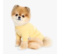 Its Dog & Kangachi - Sudadera para Perro 100% Algodón, Diseño Abrázame, Sudadera para Perros o Gatos Pequeños, Ropa Perro Cálida, Transpirable y Antialérgico, Made in Korea, Amarillo 2XL