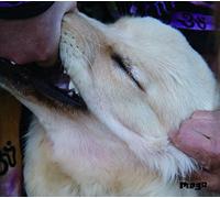 It's Hard for Me to Say I'm So