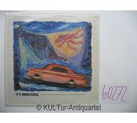 IT'S IMMATERIAL - driving away from home 12