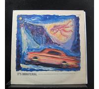 It's Immaterial - It's Immaterial - Driving Away From Home (Wicked Weather For Walking) - Siren Records
