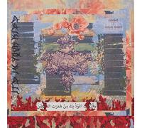 Its In Your Ribs [Vinilo]