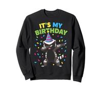 It's My Birthday Dabbing Honey Badger Groovy Rainbow Vibes Sudadera