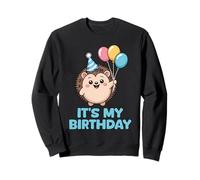 It's My Birthday Kawaii Hedgehog Sudadera