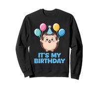 It's My Birthday Kawaii Hedgehog Sudadera