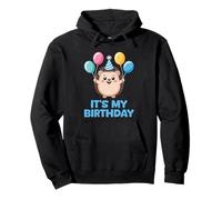 It's My Birthday Kawaii Hedgehog Sudadera con Capucha