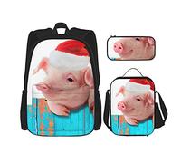 IUBBKI Funny pig on the fence Mochila escolar de tres piezas para niñas y adolescentes (combinación de mochila escolar + caja de lápices + bolsa de almuerzo)