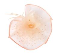 Iuhtrb Tocado clásico de los años 20 con plumas para mujer, evento social, ideal para fiestas en el jardín y espectáculos de moda, diademas para fiestas de té