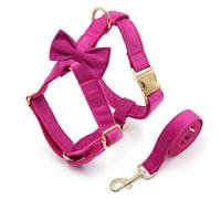 IUOUTG Arnés de chaleco para perro sin tirones con correa, clip frontal de anillo en D que ayuda a dejar de tirar, chaleco ajustable para mascotas para perros pequeños, talla M