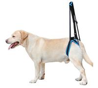 IUOUTG Arnés de elevación para Perros Grandes para Patas traseras, Soporte portátil para Mascotas, Eslinga de Malla Transpirable, arnés Trasero para Perros, arnés de Movilidad para Perros Viejos