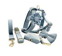 IUOUTG Conjunto Único De Correas Y Correas para Perros con Hebillas Metálicas para Collares para Mascotas, con Lazos Ajustables