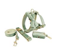 IUOUTG Juego de Collar y arnés para Perros de 5 Piezas con Lazo para Perros medianos y Grandes Hebilla Ajustable