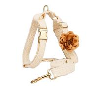 IUOUTG Perro Beige Paso En Arnés De Chaleco, Arnés De Encaje Y Set De Correa para Perros Grandes, Chaleco Bordado Ajustable para Mascotas con Flor para El Traje De Boda