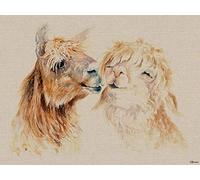 IUSOT Jane Bannon - Lienzo (60 x 80 cm), Multicolor