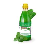 IV San Bernard Fruits Champú Menta 1L - Champú para Perros: Refrescante Menta y Vitamina B6, Desodorante y revitalizante, Pelaje Suave y Sedoso. Cuida de tu Mascota