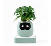 Ivy AI - Maceta inteligente con emoji, robot para plantas de interior, maceta Tamagotchi, elegante decoración del hogar