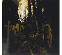 Ivy Garden of the Desert - Docile