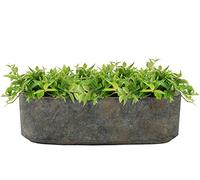 Ivyline Maceta, Cemento, Tierra, 10 x 32 cm