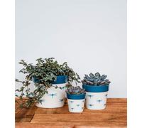 Ivyline Maceta, cerámica, Blanco y Azul, 9 cm