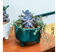 Ivyline Maceta, cerámica, Esmeralda, 19 cm