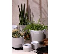 Ivyline Maceta, cerámica, Granito, Talla única