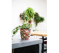 Ivyline Maceta de Interior Monza Tropical Loro 15,5 cm de Alto, 15,5 cm de Profundidad, Color Rojo y Crema, Talla única