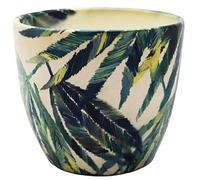 Ivyline Monza Macetero Botánico Helecho Maceta 15,5 Cm