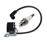 IWBR Kit de módulo de Bobina de Encendido Apto for Motosierra Poulan Craftsman Rep 222 PP220 530039198