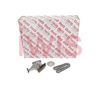 Iwis Motorsysteme Kit de Cadena Accionamiento para Audi A1 2.0 TFSI Quattro Tt