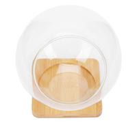 IWOWHERO Maceta Transparente para Suculentas con Florero de Vidrio Inclinado Botella Micro Paisaje Base de Bambú para Decoración del Hogar y Organización