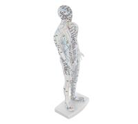 IWOWHERO Modelo de Acupuntura Tradicional China para Hombre en Plástico Blanco, Herramienta Educativa y Ayuda Didáctica para Clínicas y Aprendizaje de Puntos Meridianos