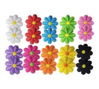 IWOWHERO Parches Termoadhesivos de Girasol Bordados 20 Unidades Colores Surtidos Morado Lago Fruta para Decoración y Reparación de Ropa Disfraces Mochilas y