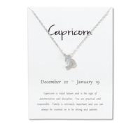 IWQSPNQP Colgante Signo Zodiacal Plata del Zodíaco Collar Personalizado Tarjeta Blanca Moda Joyería Regalo-Capricorn