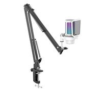 IXTECH Micrófono para juegos para PC con brazo de brazo, micrófono condensador de podcast con filtro pop, botón de silencio rápido, perilla de ganancia, brazo de micrófono y micrófono de computadora