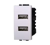 IXTRIMA Módulo toma cargador USB doble 5 V 2,1 A - 2 puertos USB-A color blanco compatible con Bticino Living Light/International, 1 unidad