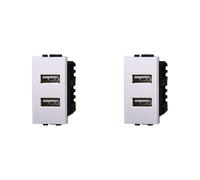 IXTRIMA Módulo toma cargador USB doble 5 V 2,1 A - 2 puertos USB-A color blanco compatible con Bticino Living Light/International, 2 unidades
