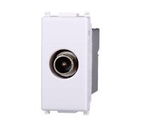 IXTRIMA Toma TV directa conector macho compatible plano color blanco EV2250