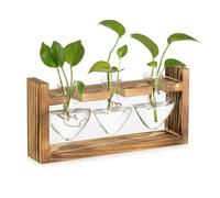 Iyalezirk Estación de Propagación de Vidrio para Plantas: Jarrones Vintage Decorativos con de Madera para Estante de Oficina y Sala de Estar