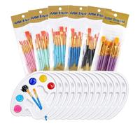 Iyalezirk Juego de 72 Pinceles y, 60 Pinceles y 12 Bandejas para Paletas de Pintura, Juego de Pintura Profesional para Artistas.